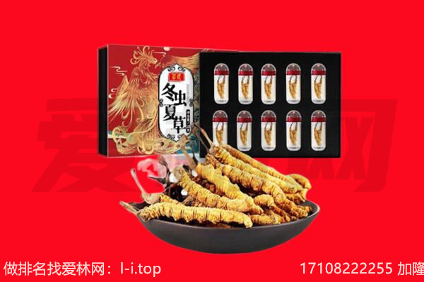 乌兰察布市丰镇市回收虫草.jpg